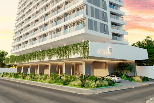 Portada de Ambar Bio