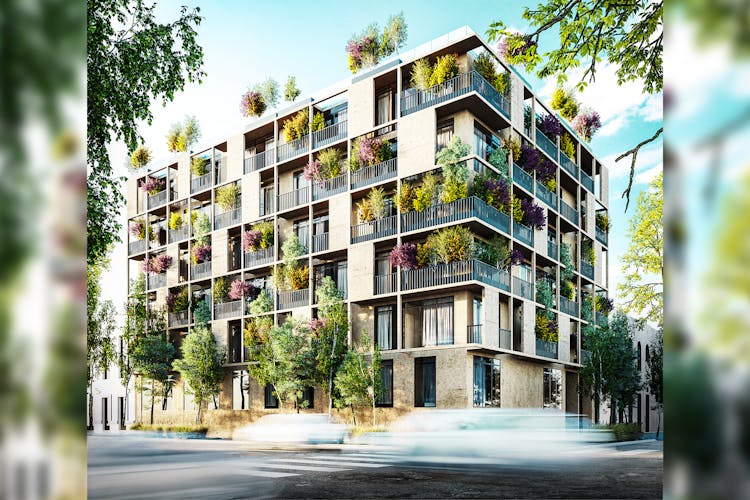 imagenes proyecto