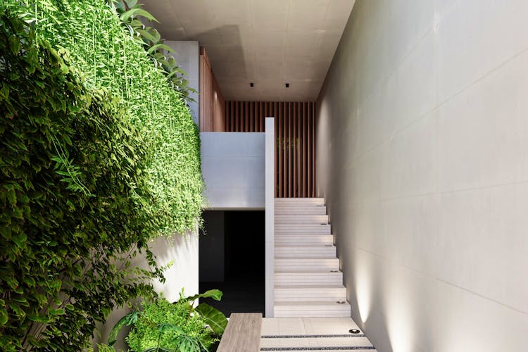 imagenes proyecto