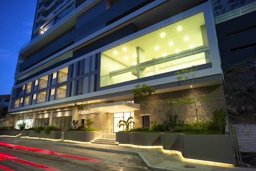 Portada de Ambar Roca