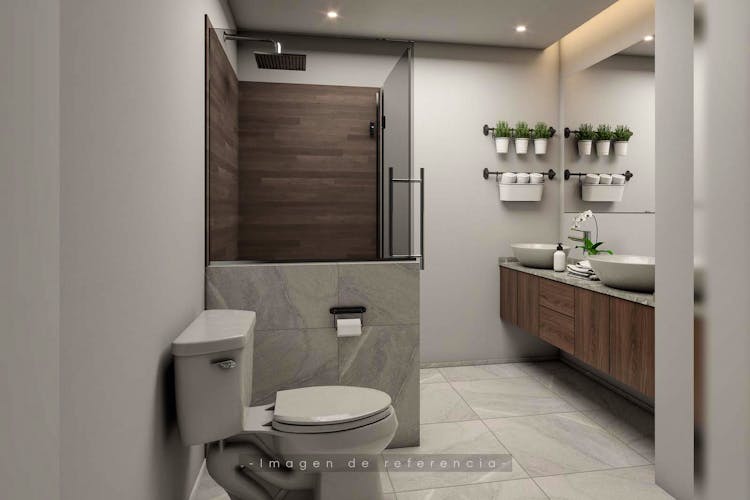 imagenes proyecto
