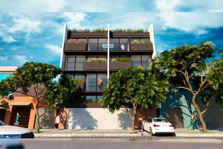 imagenes proyecto