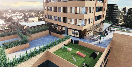 Portada de Citadinno