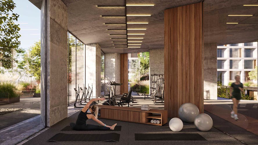 imagenes proyecto