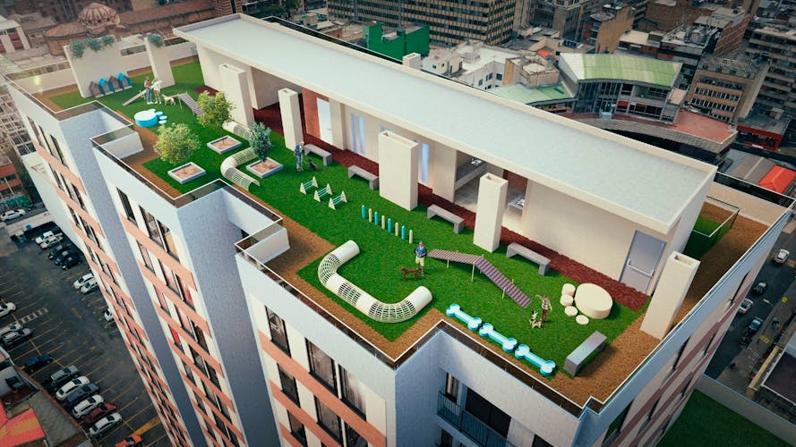 imagenes proyecto