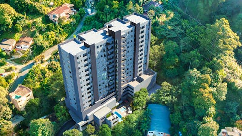 Portada de Bosque Sagrado