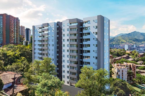 Portada de Bosque Sagrado