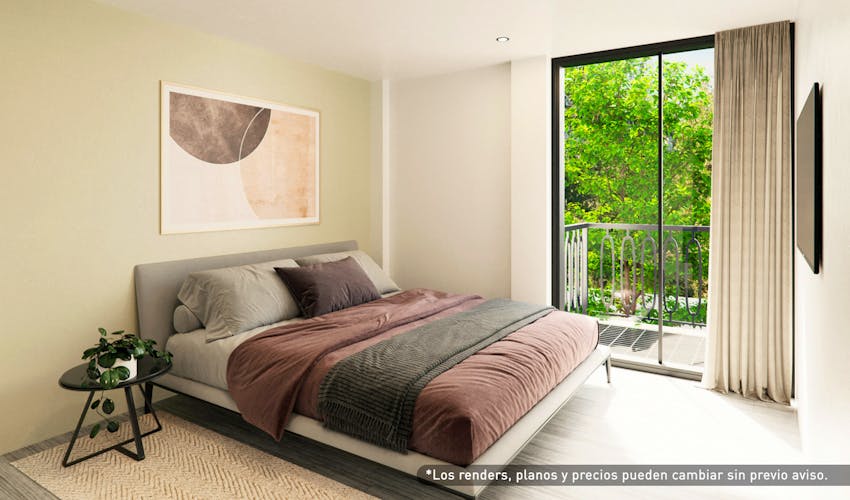 imagenes proyecto