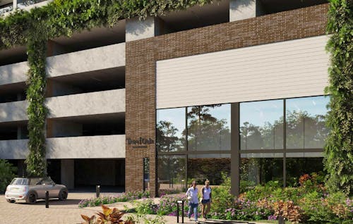 Portada de Tierra Grata Camino Verde