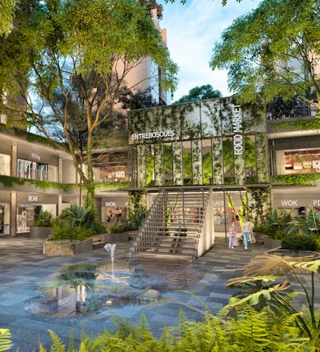 imagenes proyecto