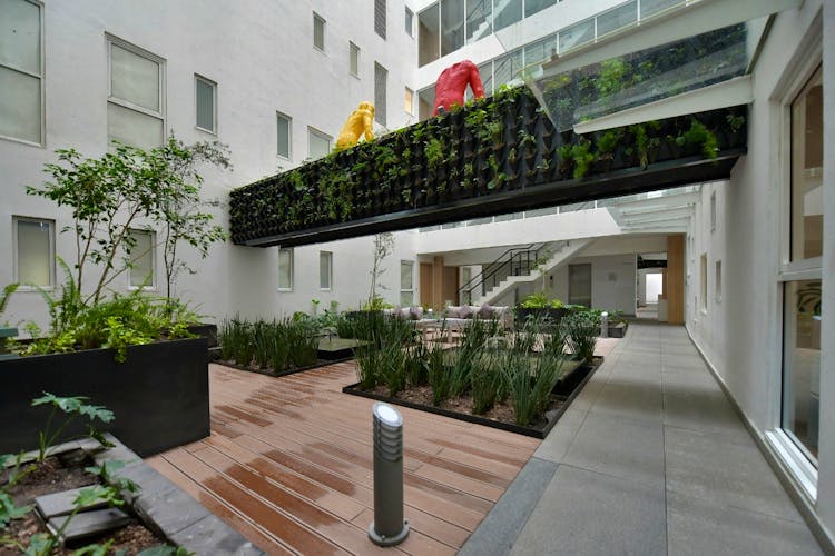 imagenes proyecto