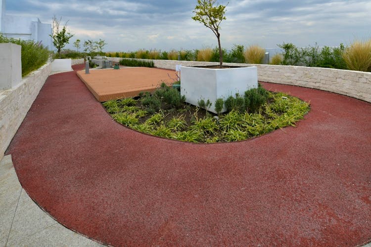 imagenes proyecto