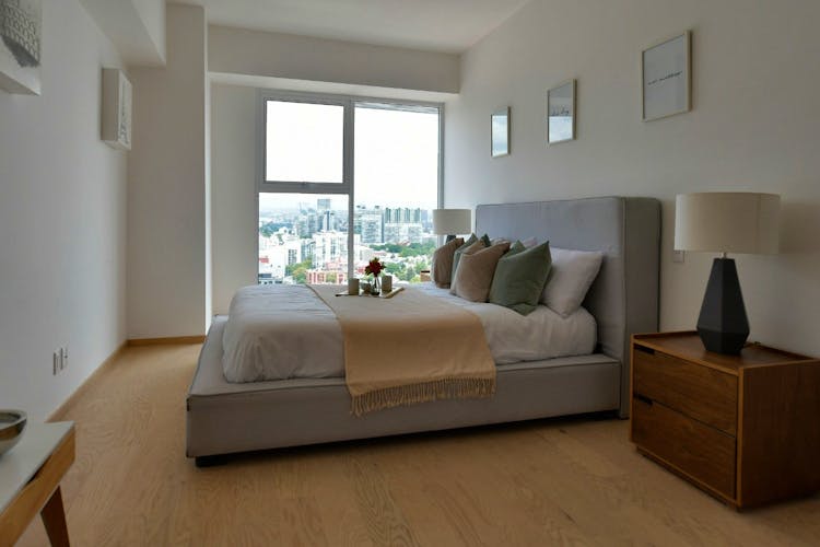 imagenes proyecto