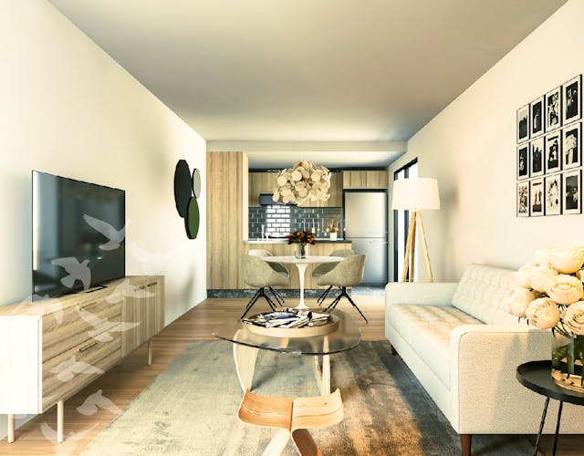 imagenes proyecto