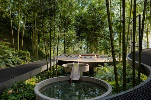 Portada de Casa del Lago