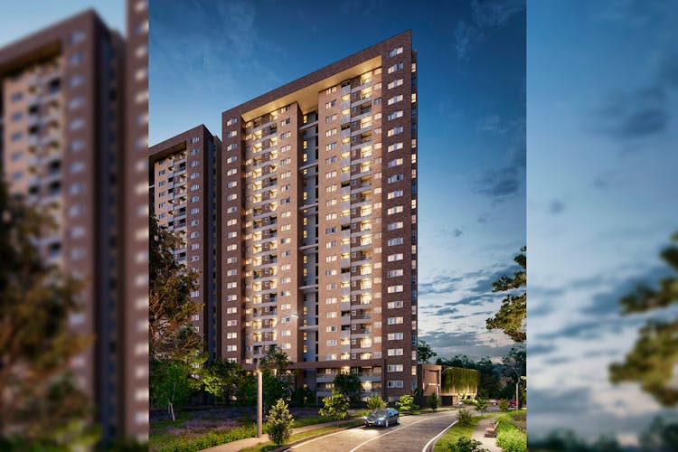 imagenes proyecto