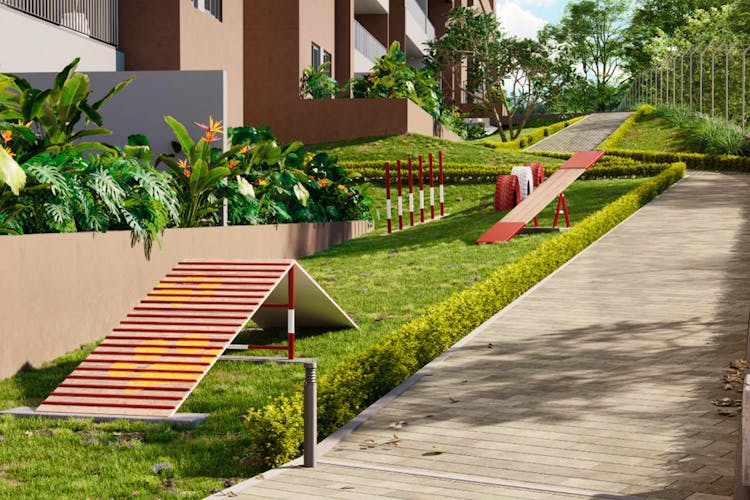 imagenes proyecto