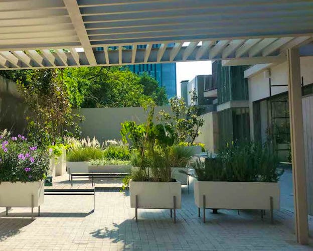 imagenes proyecto
