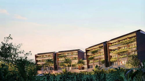 Portada de Palmerium