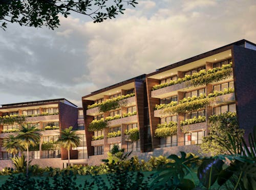 Portada de Palmerium