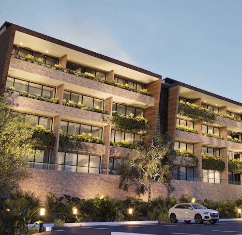 Portada de Palmerium