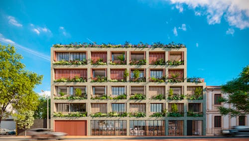 Portada de TULIV HISTÓRICO CANDELARIA