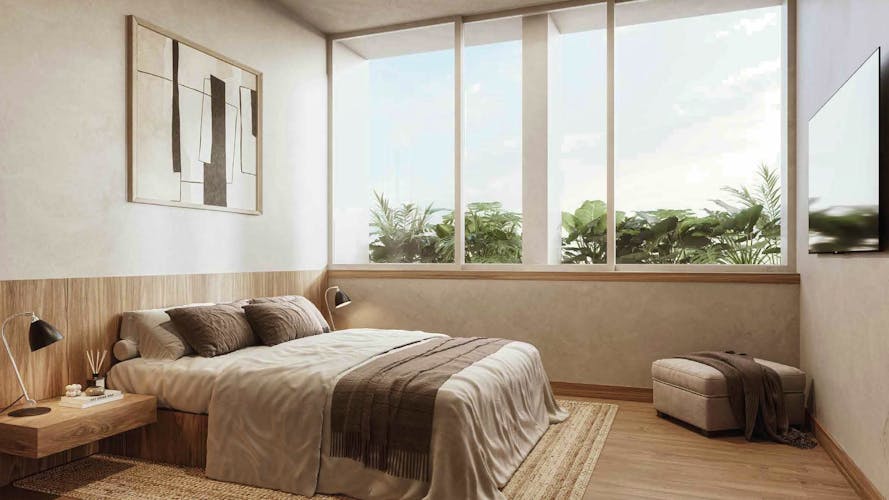 imagenes proyecto