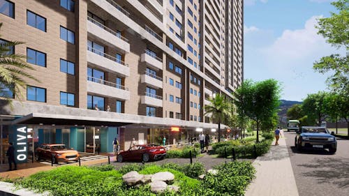 Portada de Oliva Ciudad Coltejer