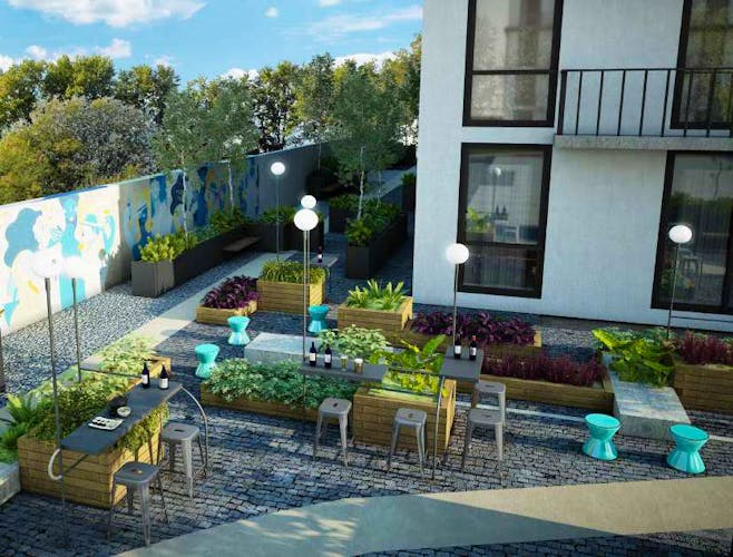 imagenes proyecto