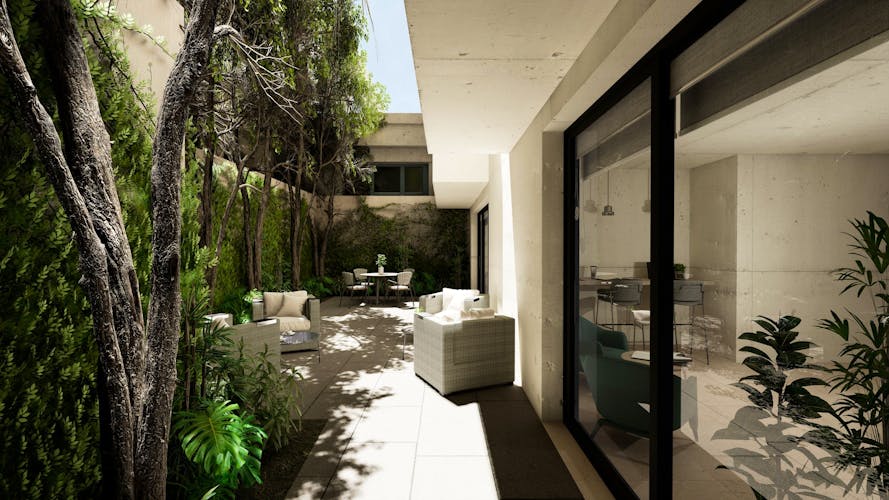 imagenes proyecto