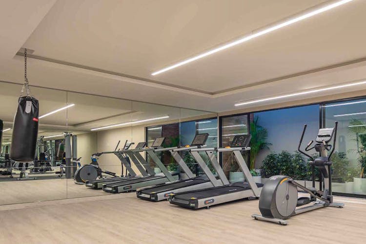 imagenes proyecto
