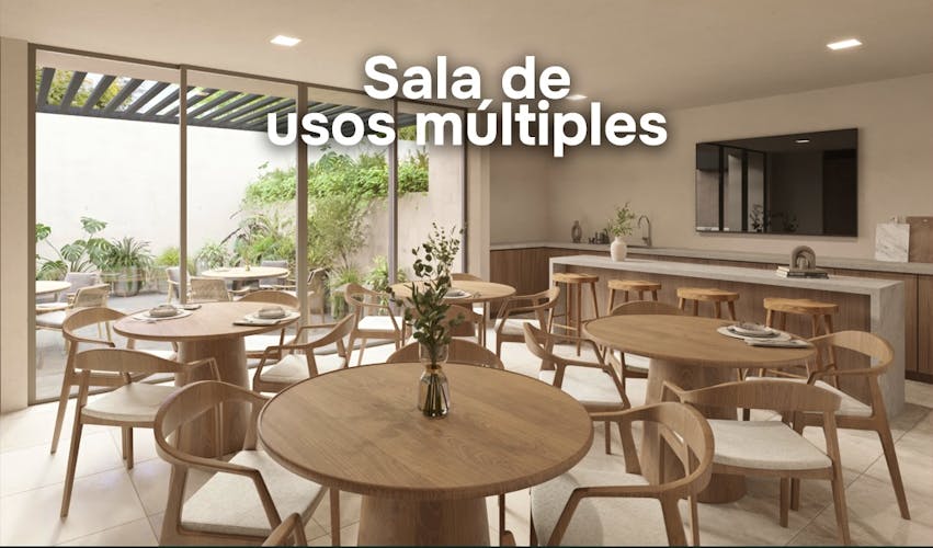 imagenes proyecto