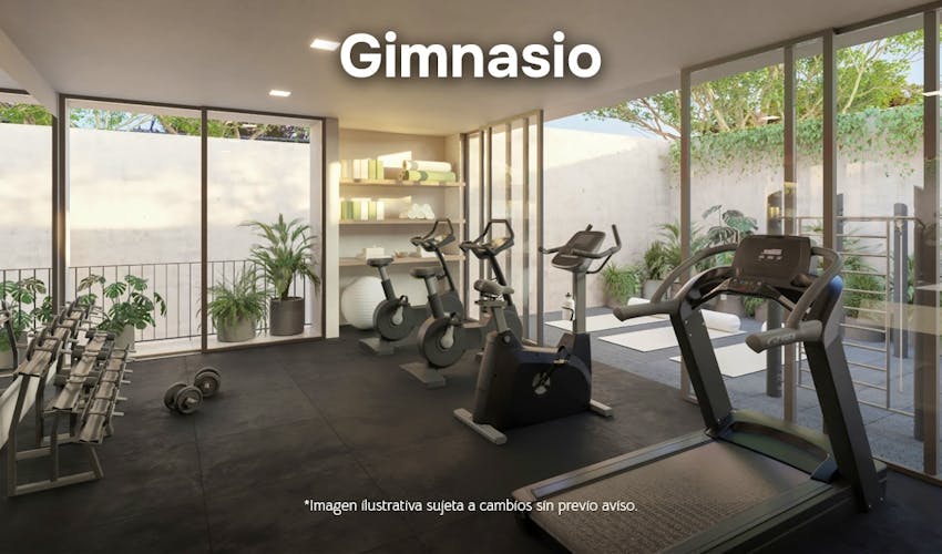 imagenes proyecto