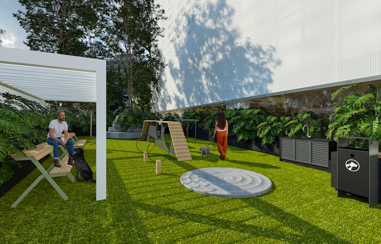 imagenes proyecto