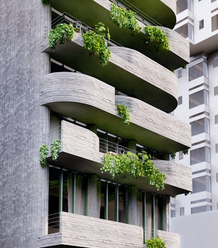 imagenes proyecto