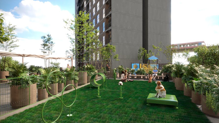 imagenes proyecto