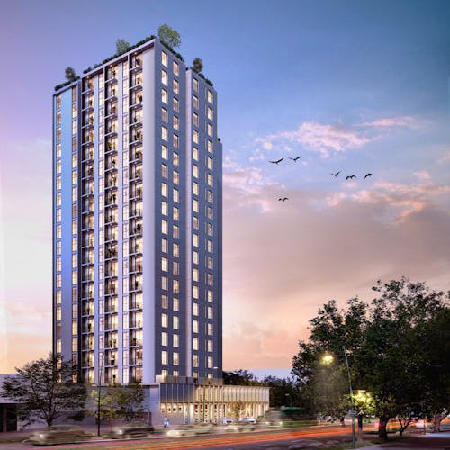 imagenes proyecto