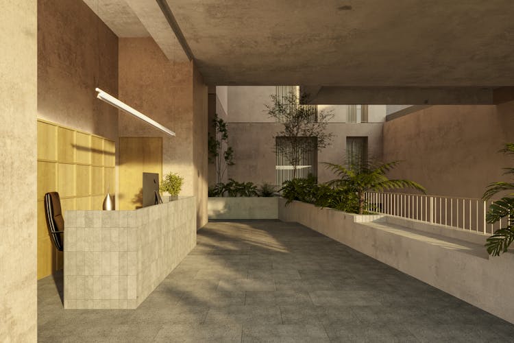 imagenes proyecto