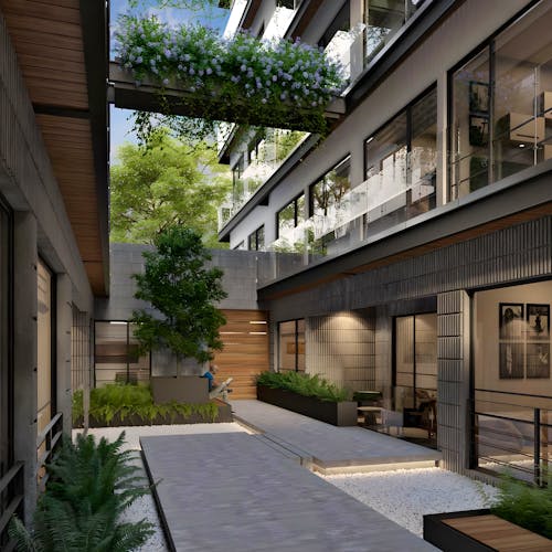 imagenes proyecto