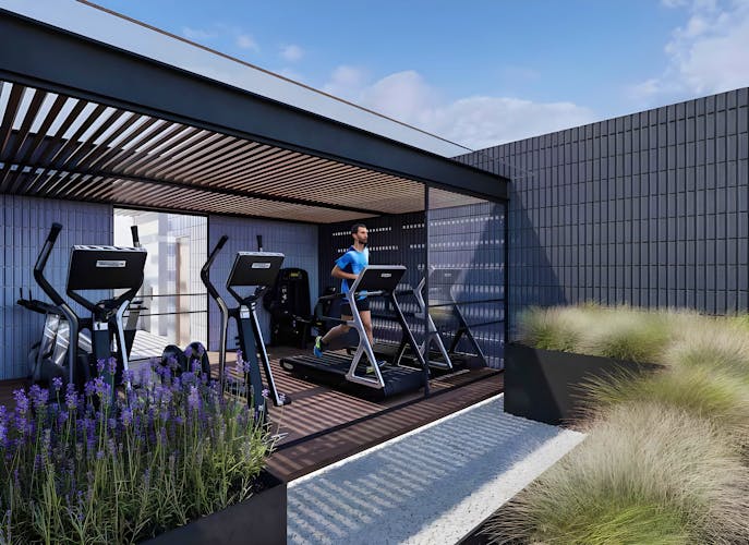 imagenes proyecto