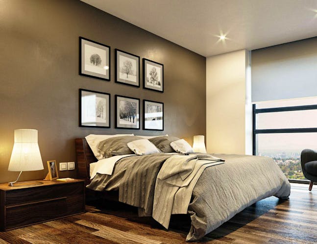 imagenes proyecto