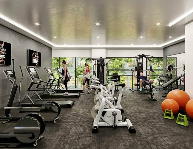 imagenes proyecto