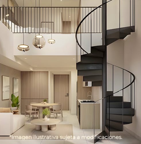 imagenes proyecto