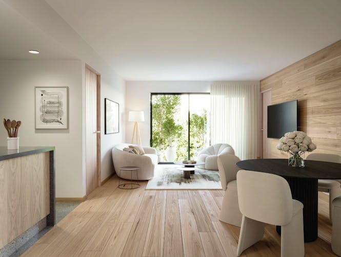 imagenes proyecto