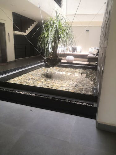 imagenes proyecto