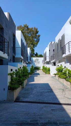 imagenes proyecto