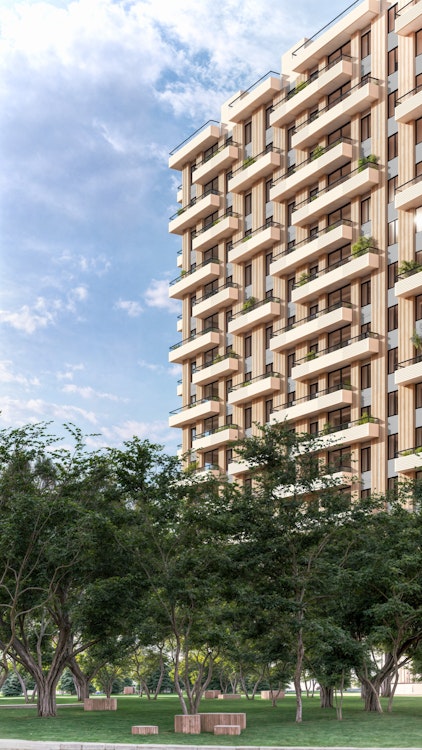 Portada de Malecón 72