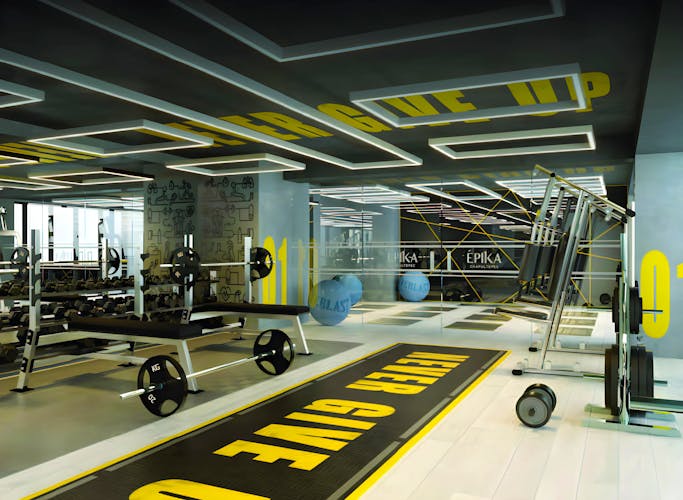 imagenes proyecto