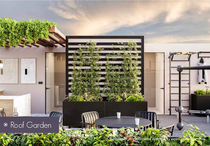 imagenes proyecto