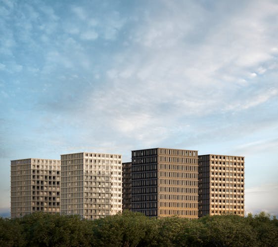 imagenes proyecto